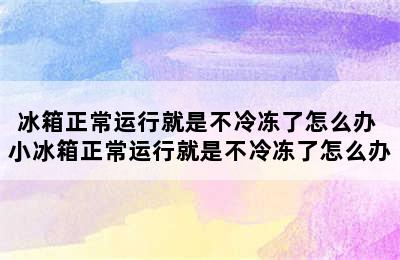 冰箱正常运行就是不冷冻了怎么办 小冰箱正常运行就是不冷冻了怎么办